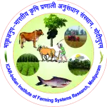 IIFSR Modipuram